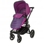 Sistem modular 2 in 1 Coccolle Girasole Violet