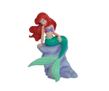 Ariel pe stanca