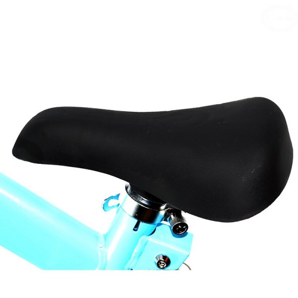 Bicicleta fara pedale eurbaby fbb-1 blue