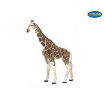 Girafa - Figurina Papo