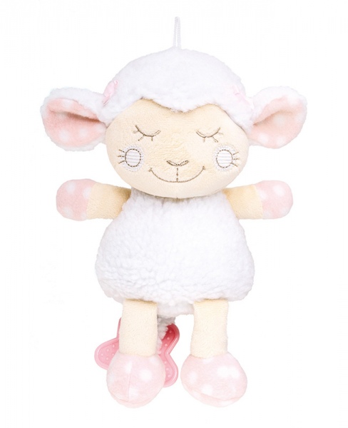Cutie muzicala plus 2009