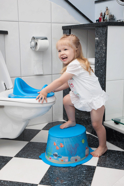 Reductor WC Style Little Princes Rotho-babydesign igiena imagine noua responsabilitatesociala.ro