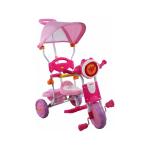 Tricicleta Arti 260C roz