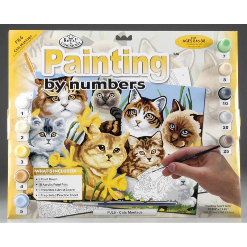 Prima mea pictura pe numere pisici