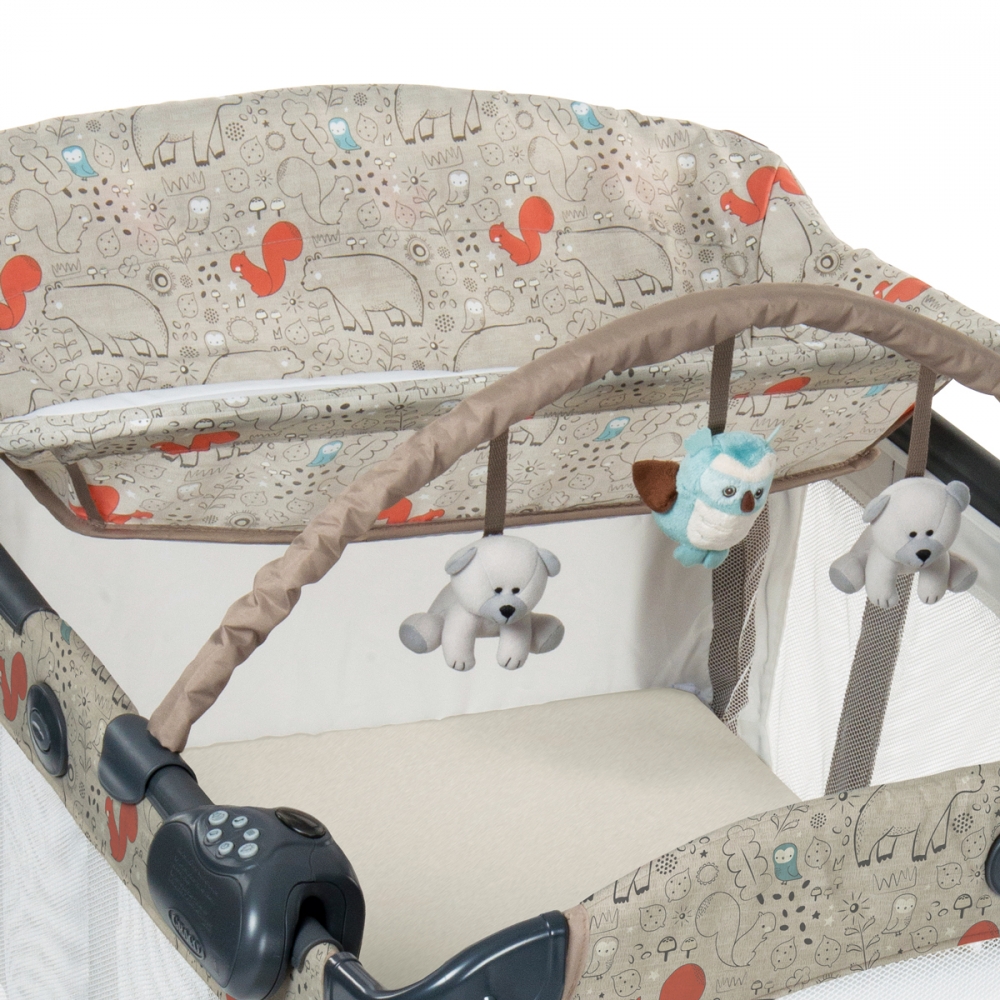 Patut contour electra woodland walk