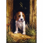 Prima mea pictura pe numere catelus beagle