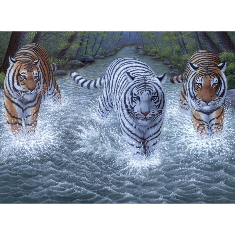 Pictura pe numere juniori   3 tigri