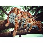 Pictura pe numere juniori   Leopard african