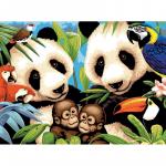 Pictura pe numere juniori   Panda