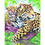 Set creativ educativ  Coloreaza pe numere  Jaguar