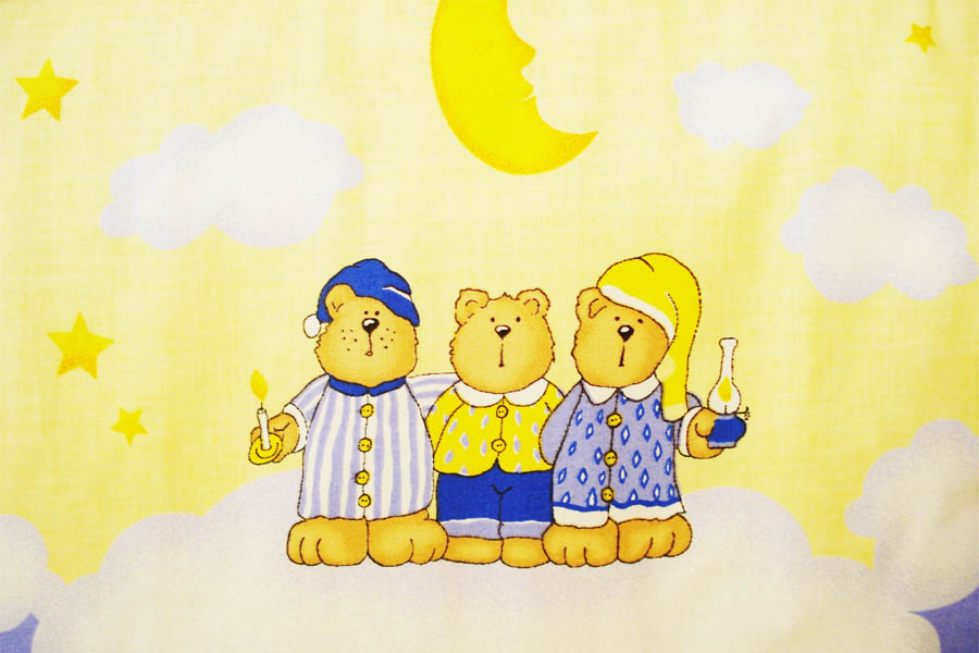 Lenjerie teddy norisori albastru 4 piese 120x60