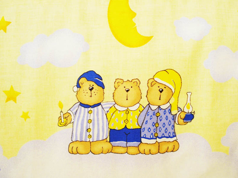 Lenjerie teddy norisori albastru 4 piese 140x70