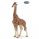 Figurina Papo girafa mascul