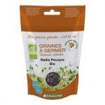 Ridiche purpurie pentru germinat bio 100g