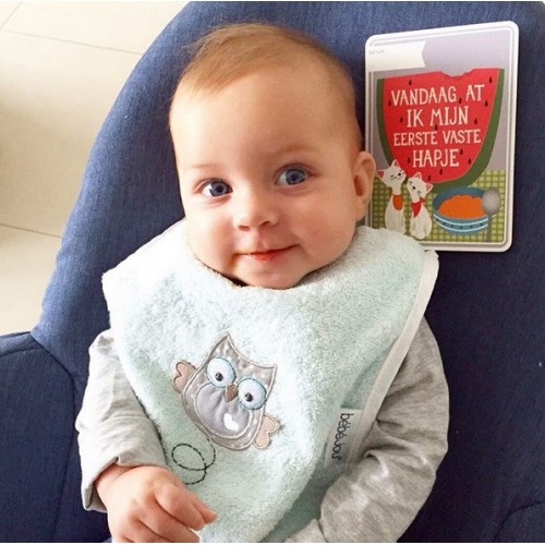 Bavetica reversibila bebe jou owl family