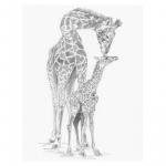 Crochiu incepatori Girafa cu pui 22x29 cm