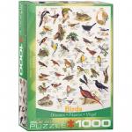 Puzzle 1000 piese Birds