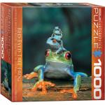 Puzzle 1000 piese Frogs