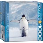 Puzzle 1000 piese Penguin & Chick