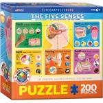 Puzzle 200 piese The Five Senses