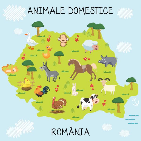 Fototapet animale domestice 100 x 100 cm