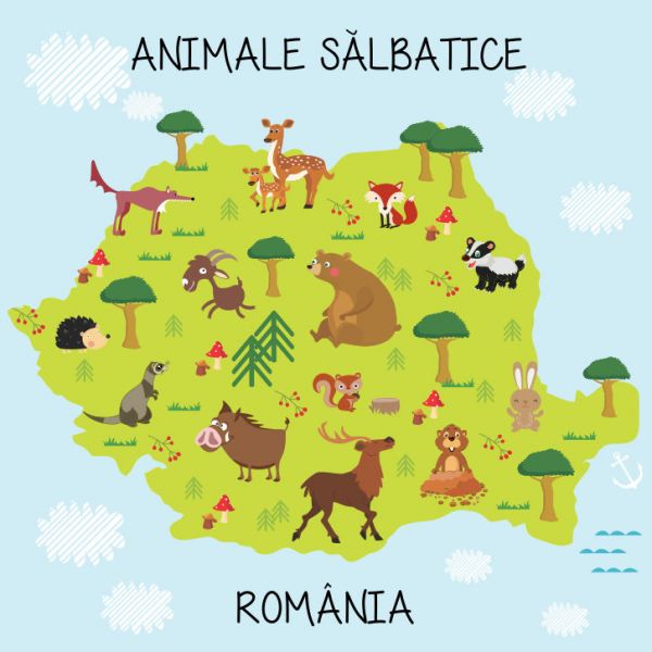 Fototapet animale salbatice 100 x 100 cm