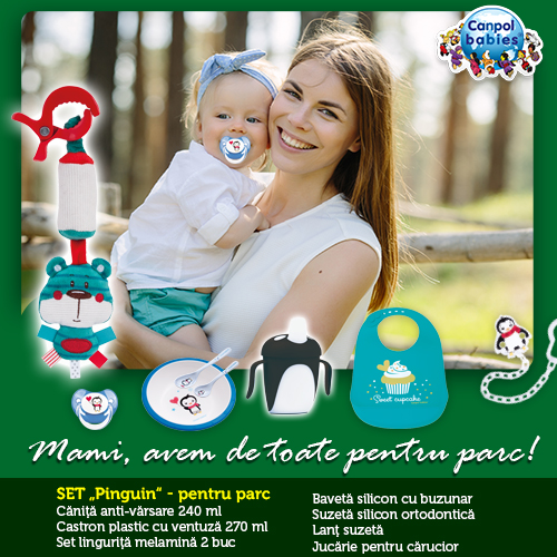 Pachet pinguin pentru parc