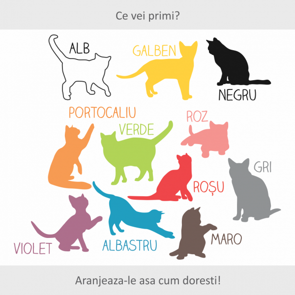 Sticker decorativ Pisicutele ne invata 110 x 93 cm