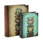 Set 2 cutii carte Gorjuss Book Owls