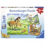 Puzzle animale si pui 3x49 piese
