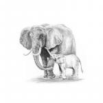 Crochiu incepatori Elefant 13x18 cm
