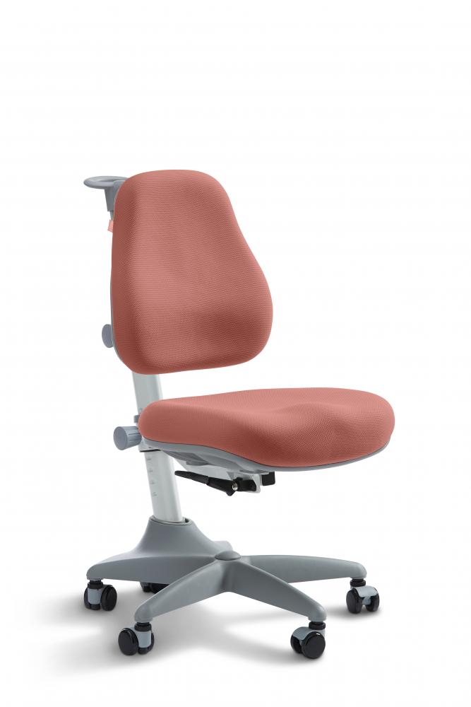 Scaun ergonomic pentru birou verto roz prafuit flexa