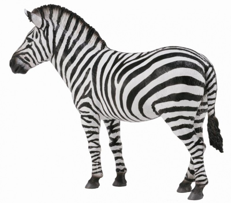 Figurina Zebra Collecta