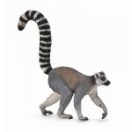 Lemur cu coada-inel Collecta