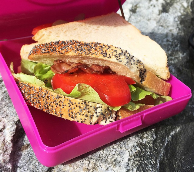 Caserola sandwich Carl Oscar gri Alimentatie imagine noua responsabilitatesociala.ro