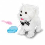 Catelusul plimbaret Westie