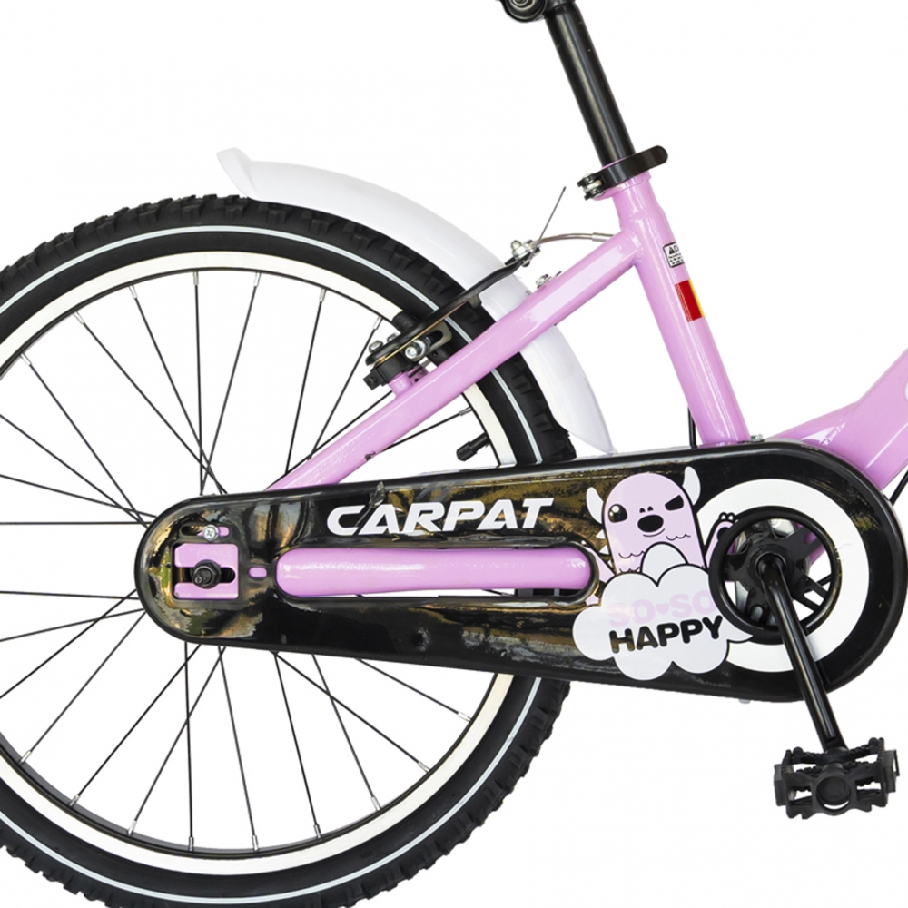Bicicleta Carpat C2002C 20 V-Brake cu cosulet 7-10 ani roznegru