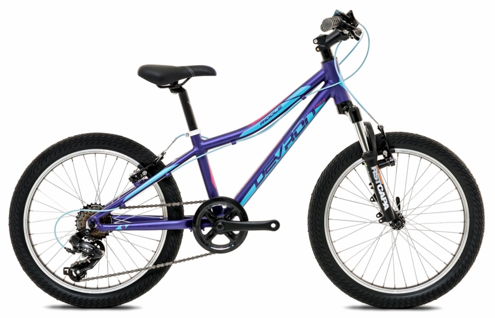 Bicicleta copii Devron Riddle Lh 0.2 S 280 deep purple 20 inch Devron imagine noua