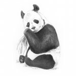 Crochiu incepatori Panda