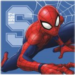 Prosopel magic Spiderman 30x30 cm SunCity
