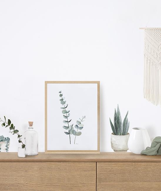 Poster (30x40cm) eucalyptus foliage