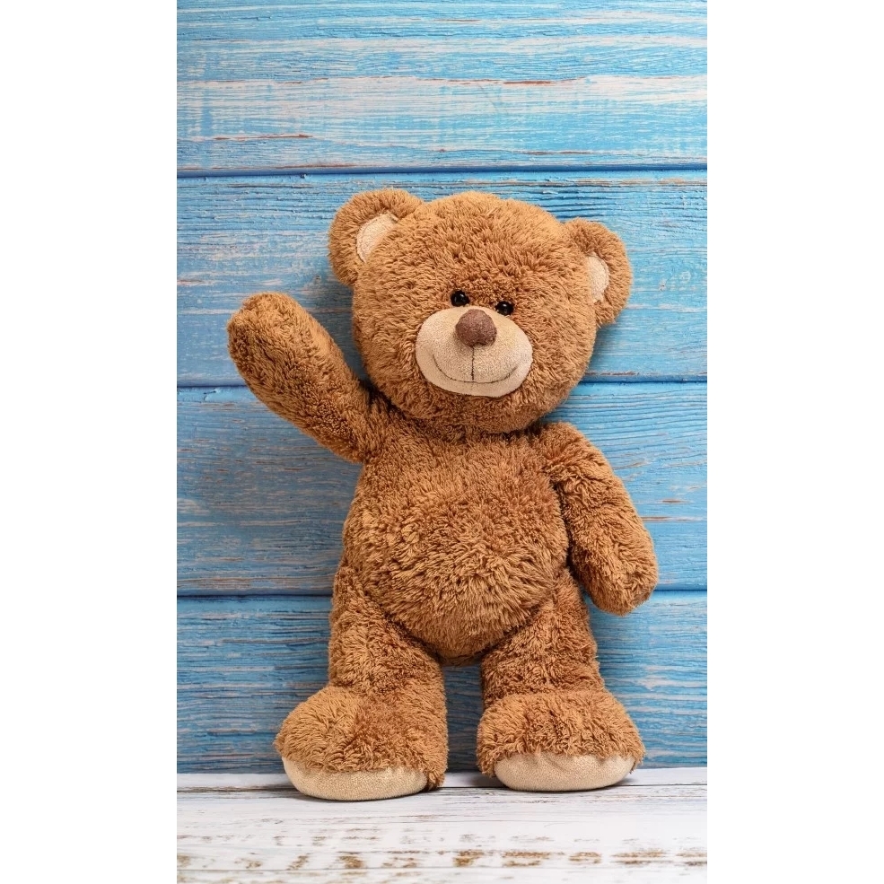 Prosop fata Teddy Bear 30×50 cm SunCity CBX191333TNL 30x50 imagine noua responsabilitatesociala.ro