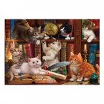 Puzzle Anatolian Cats and Books 500 piese
