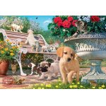 Puzzle Anatolian Steve Read Pets Hide and Seek 260 piese