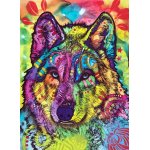 Puzzle Anatolian The Stare Of The Wolf 1000 piese