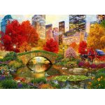 Puzzle Bluebird Central Park NYC 1.000 piese