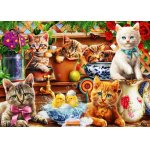 Puzzle Bluebird Kittens in the Potting Shed 1.000 piese