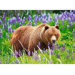 Puzzle Castorland Bear On The Meadow 120 Piese