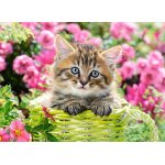 Puzzle Castorland Kitten In Flower Garden 100 piese