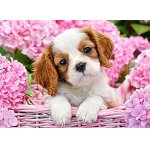 Puzzle Castorland Pup In Pink Flowers 180 piese